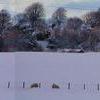 pink snow